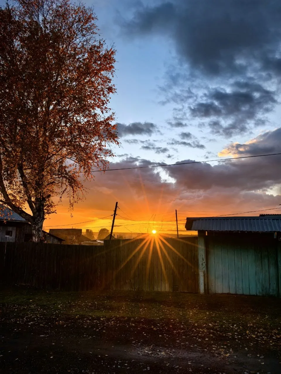 Осенний золотой закат 🌇