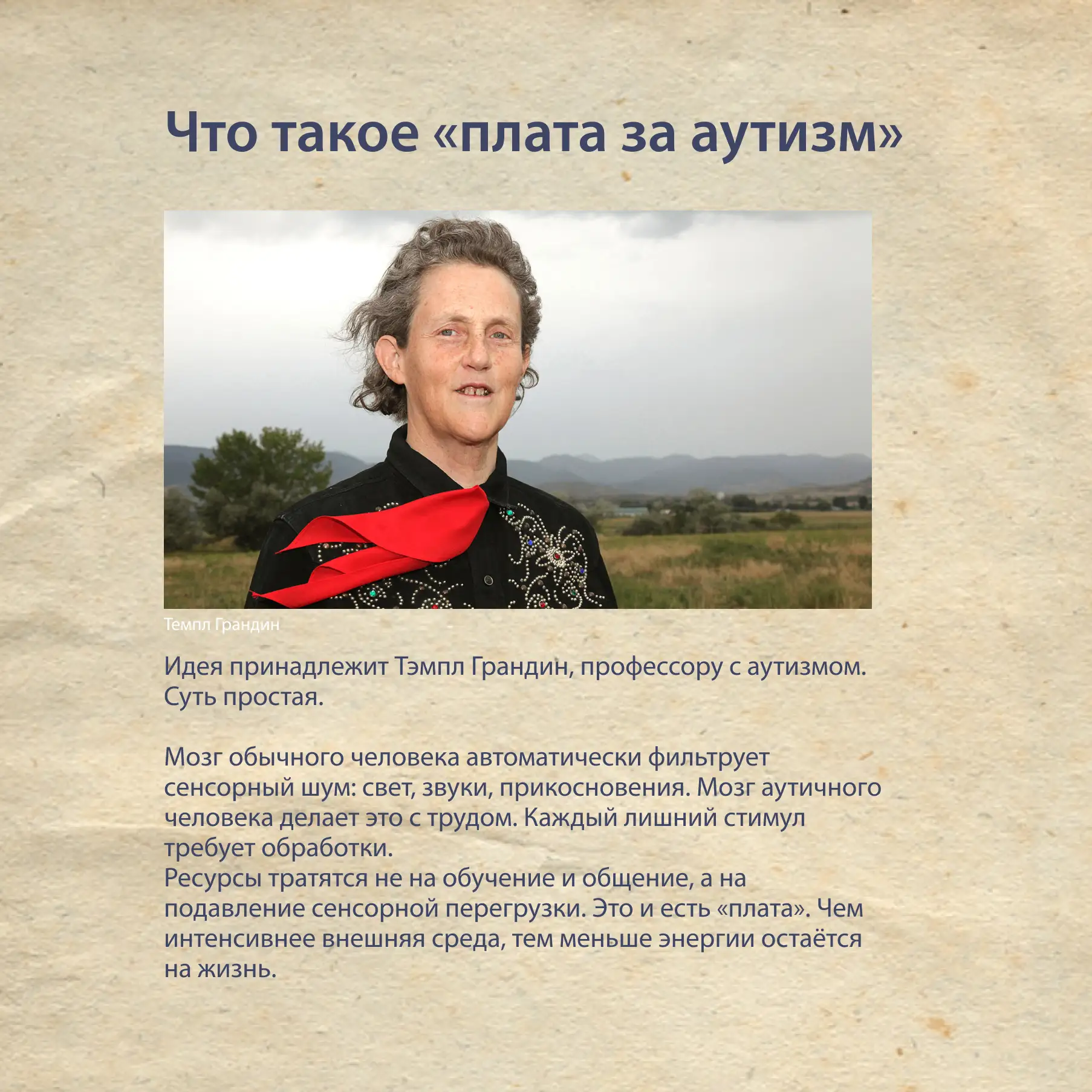Что такое «плата за аутизм» и почему об этом говорят в ТикТоке?