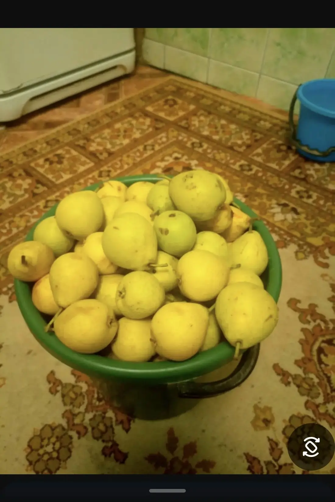 Продаю 5 л.ведро груш, сочные, сладкие, осталось 500 р.
89202610870, осталось последнее