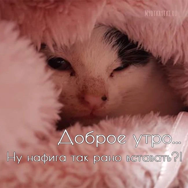 Красивые открытки❤️