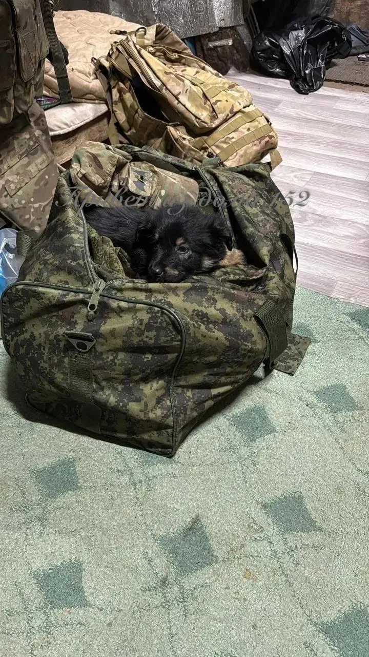Доброго летнего вечерочка, дорогие наши! 🥰
