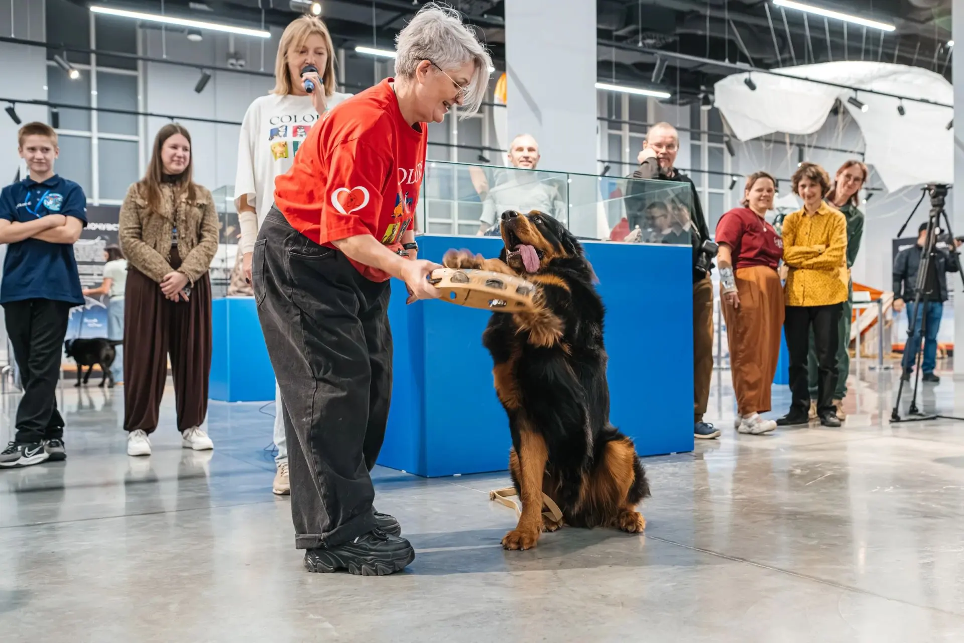 🐶 Собаки смотрели фильм про полет в космос Белки и Стрелки