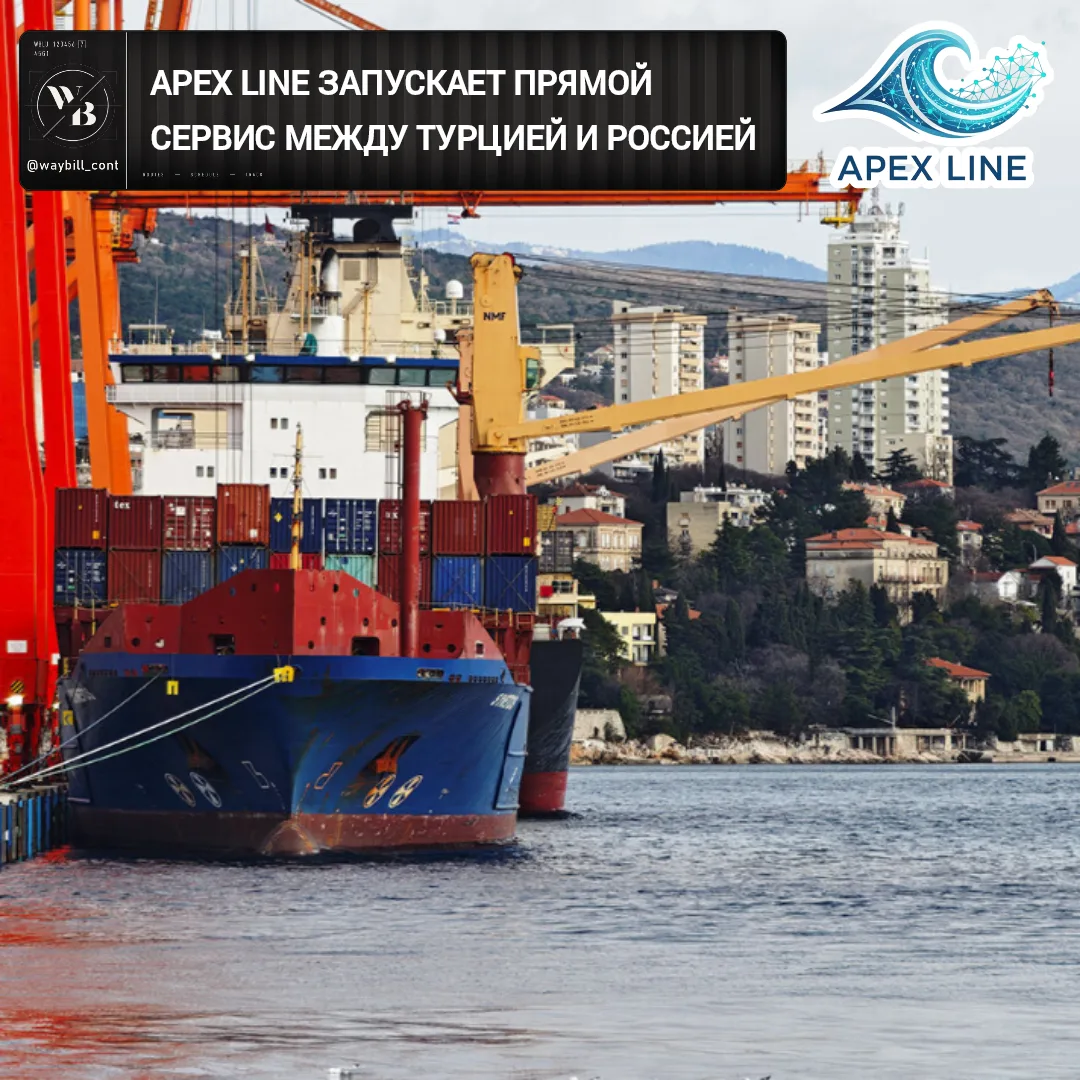 ‼️ Компания «НефтеОйл Северо-Запад», представляющая APEX Line в России, объявила о запу...
