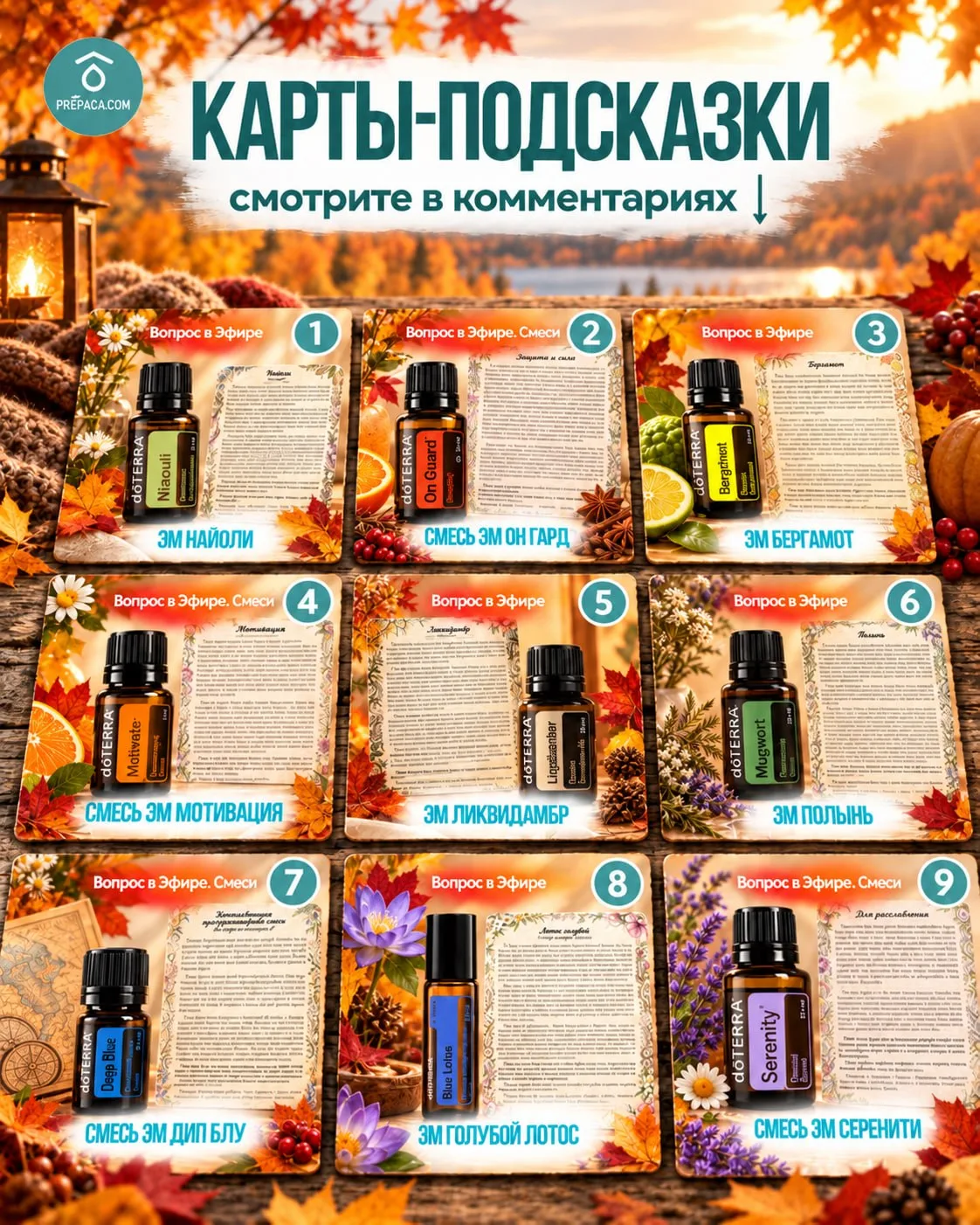ИНТЕРАКТИВ