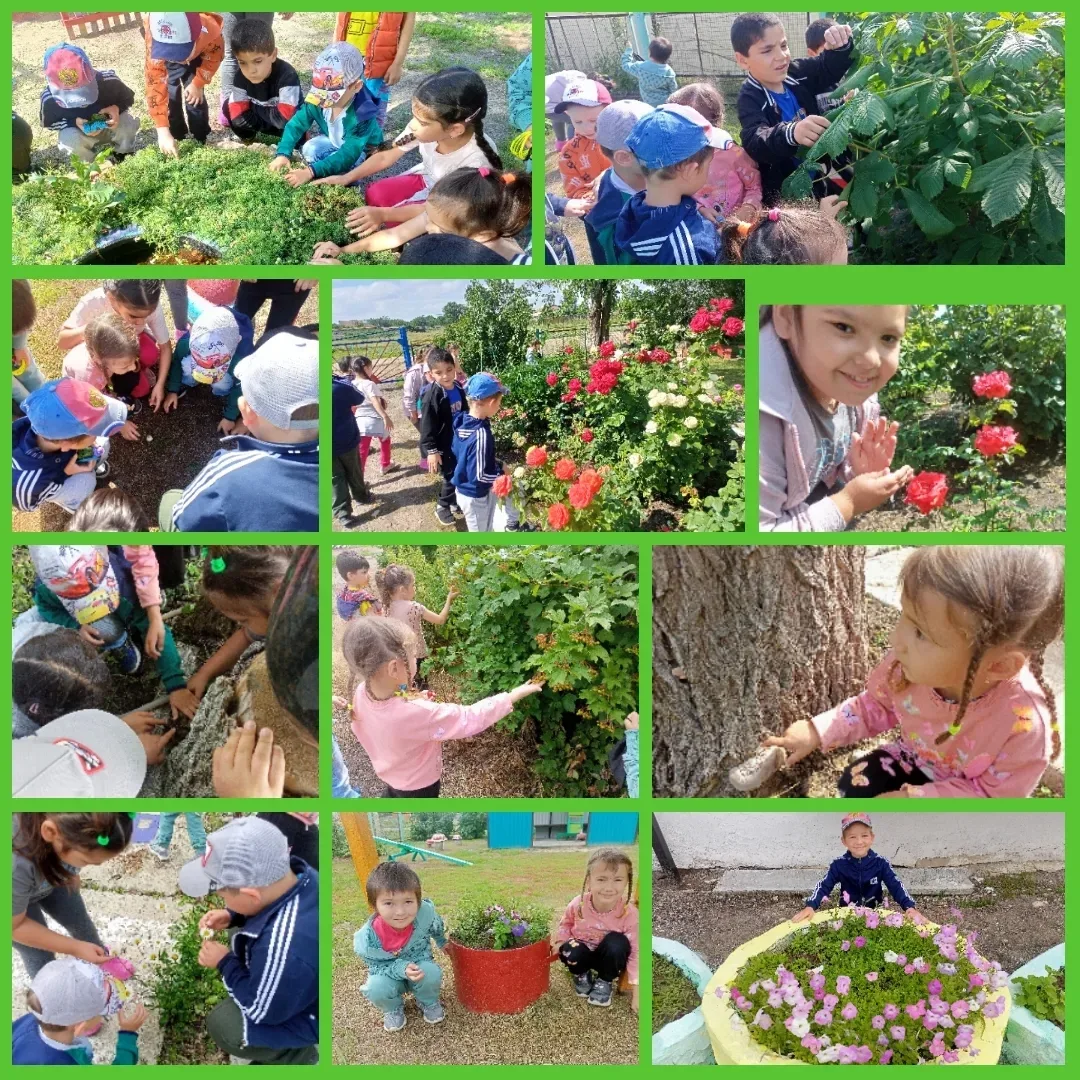 "Мы по садику гуляли, за природой наблюдали..."
С детьми разновозрастной группы была проведена экску