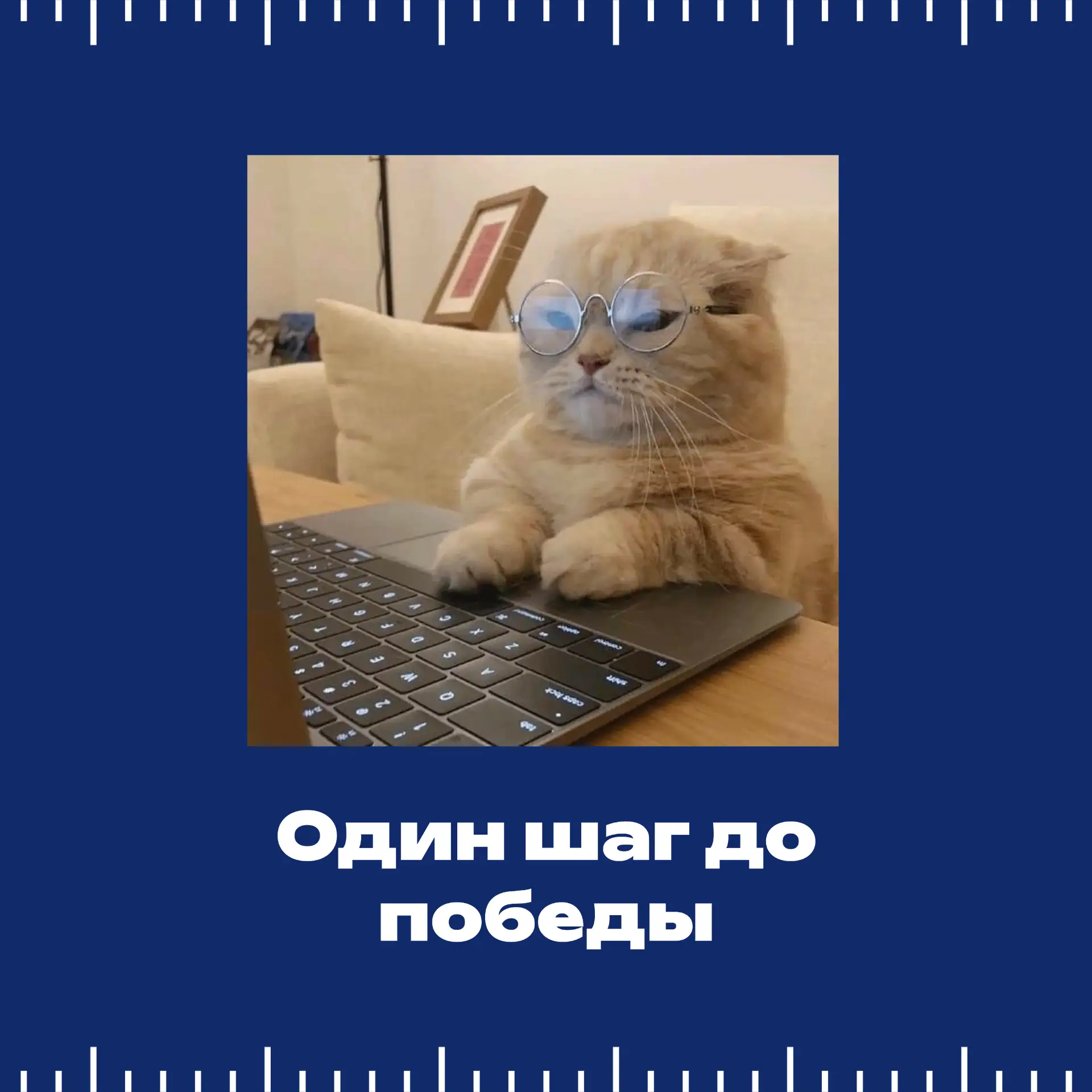 Сессия в разгаре! А какой ты котик на экзаменах? 🐱📚  Четверть студентов СтГАУ уже завершили свои зач