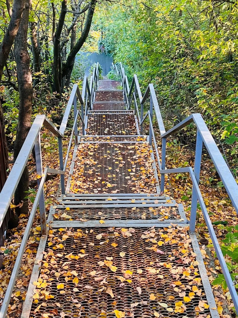 🍁 Осень раскрасила Верхний Услон