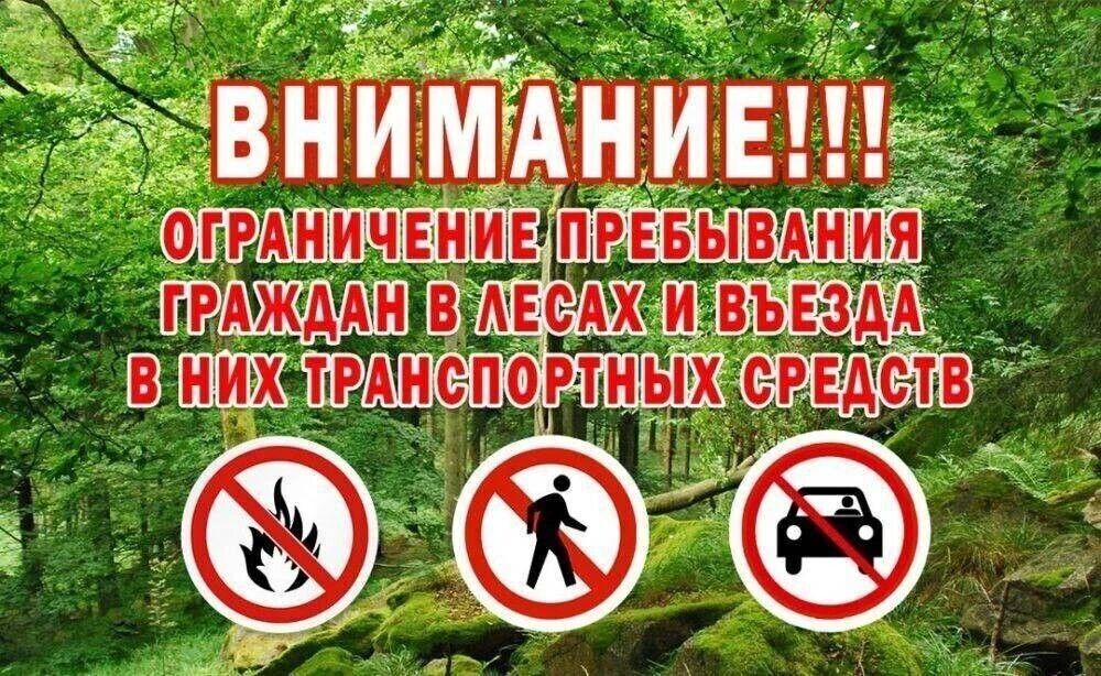 🚫 В Донском сельском поселение действует режим ограничения пребывания в лесах. Это мер...