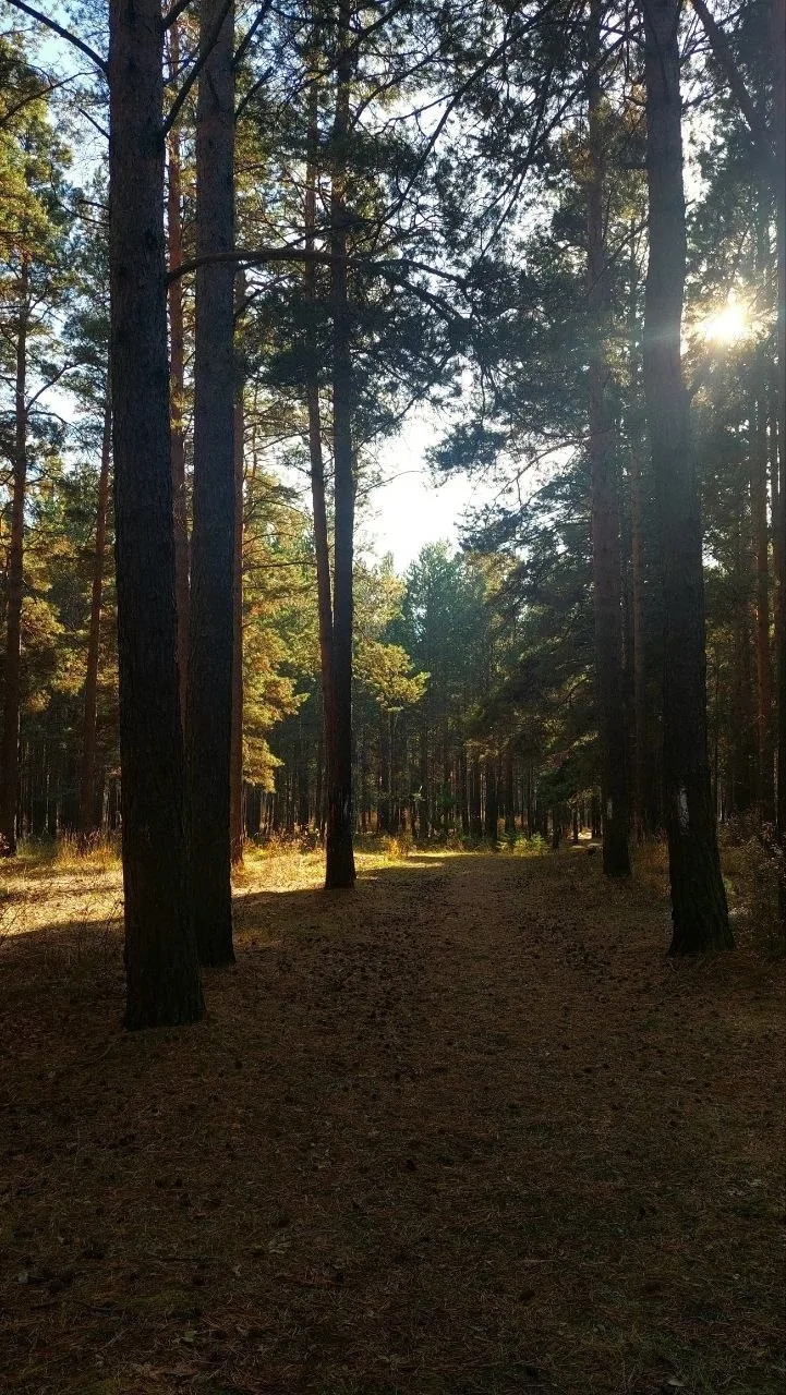 🍁 ОСЕННИЙ АНГАРСК🍁