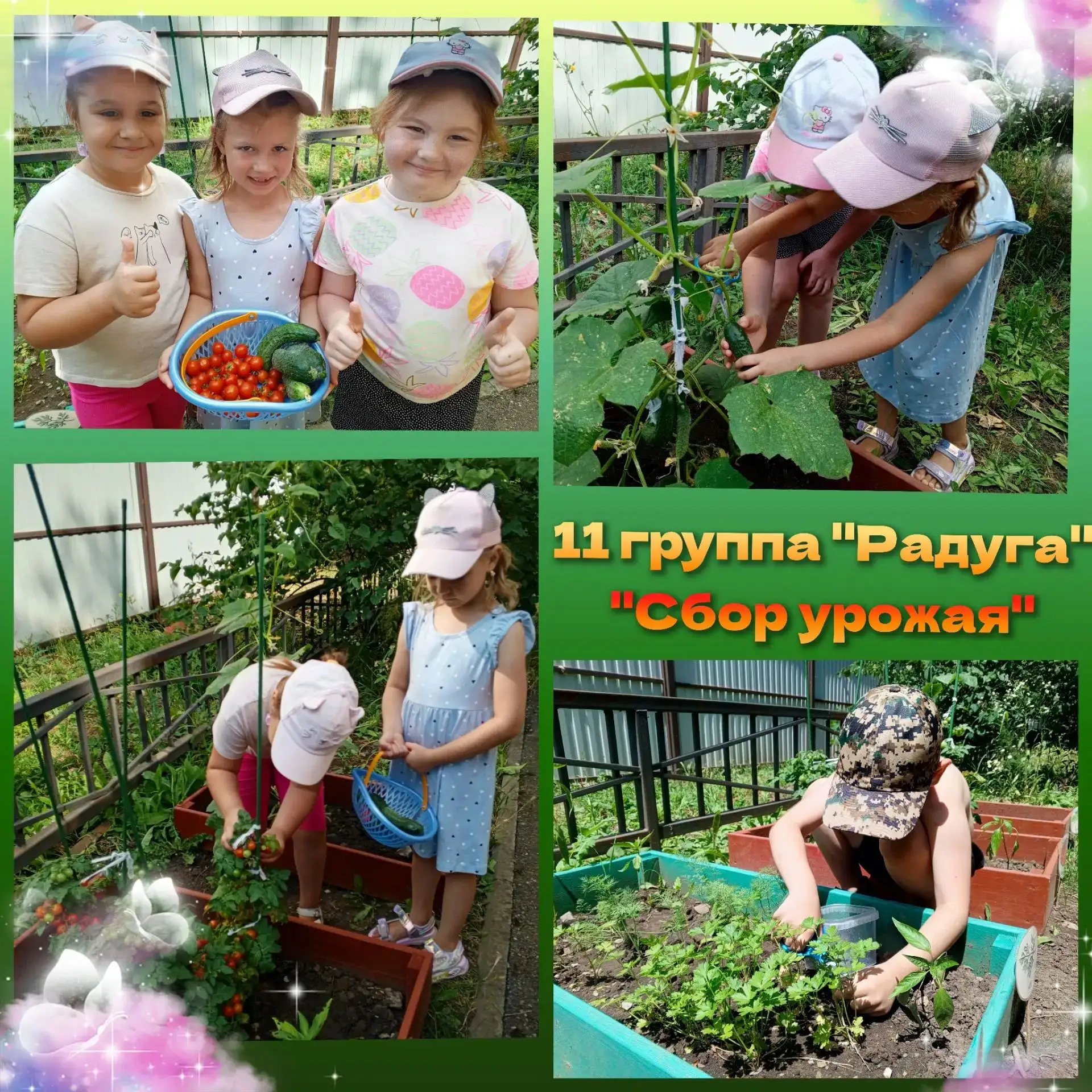 "Сбор урожая" воспитанников старшей группы " Радуга"🌈🌞

🍅🥒 Наш огород🫛🥔

Огород наш маленький,