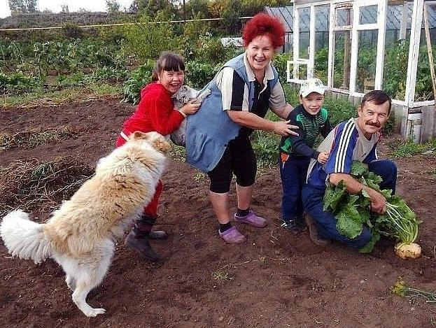 Изображение 1 к публикации «Дачные секреты»