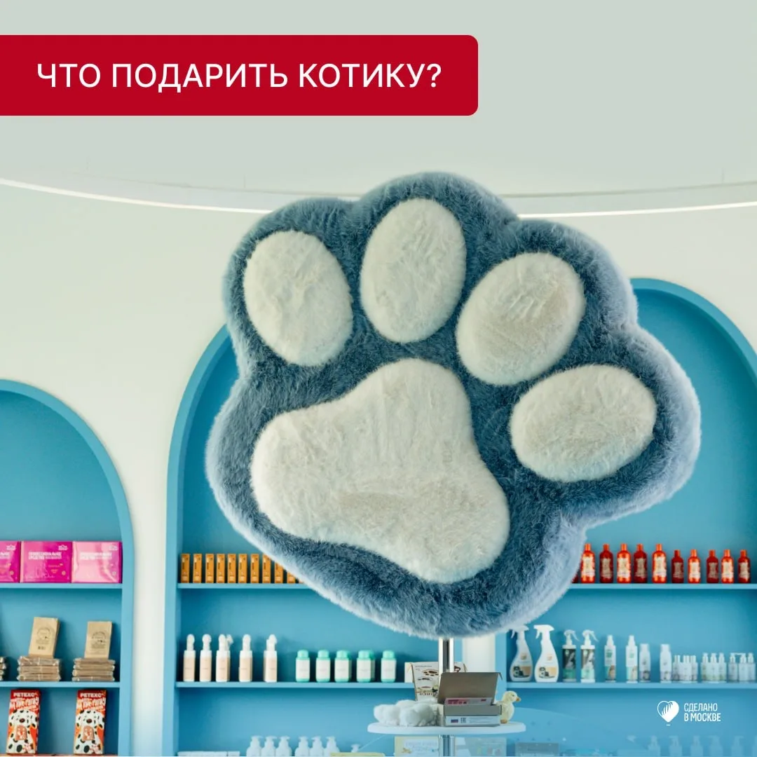 Мартовские коты: что подарить котику?  Сегодня в России отмечается день кошек — и это повод порадова