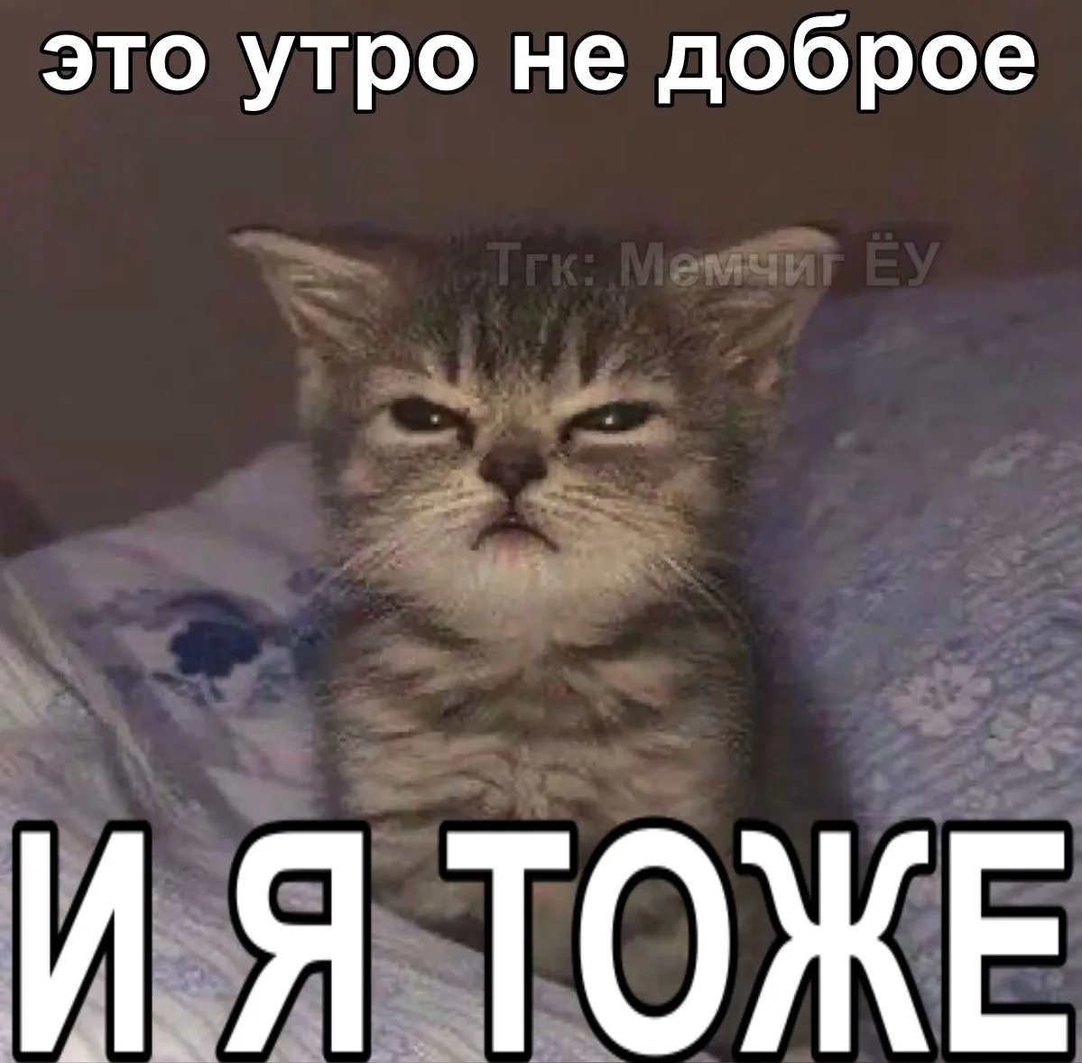☀️ Какой сегодня уровень желания идти в школу?