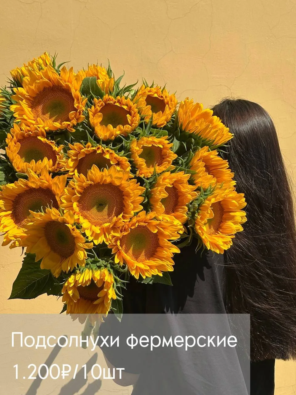 Фермерские подсолнухи сорта Sunrich Gold и сорта Sunbright Supreme🌼

Долгожданные, яркие, солнечные