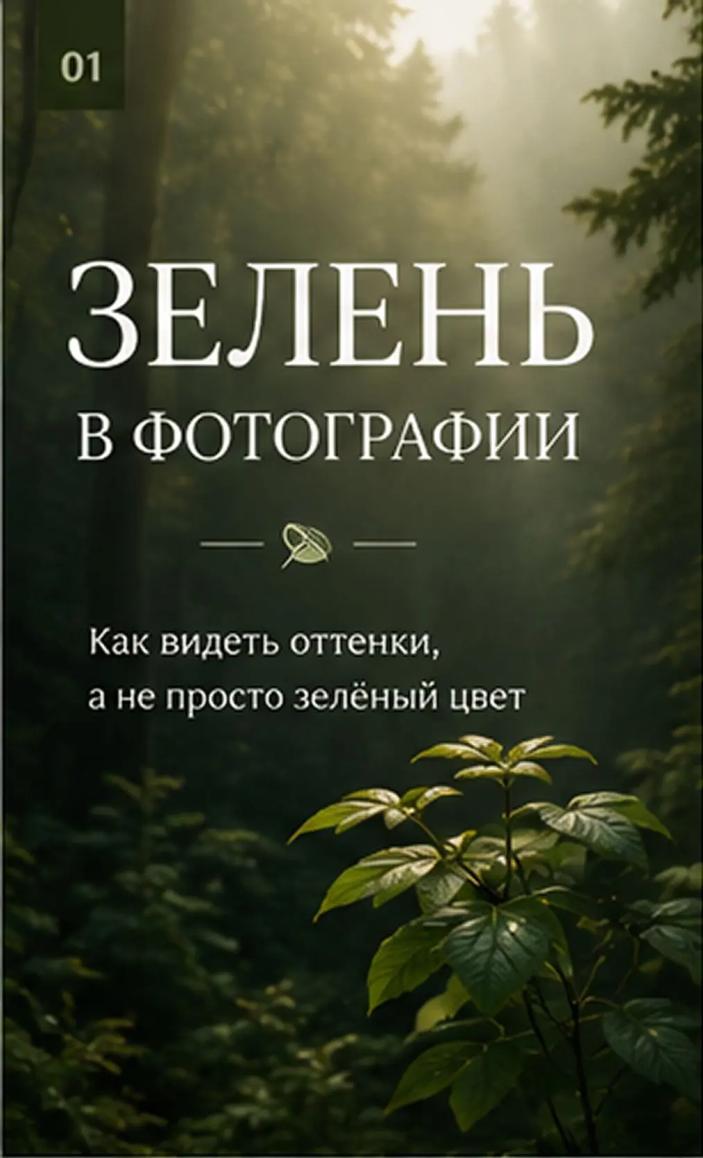 Зелень в фотографии. Как видеть оттенки, а не просто зелёный цвет 

❗Скоро! Новый формат обучения. "