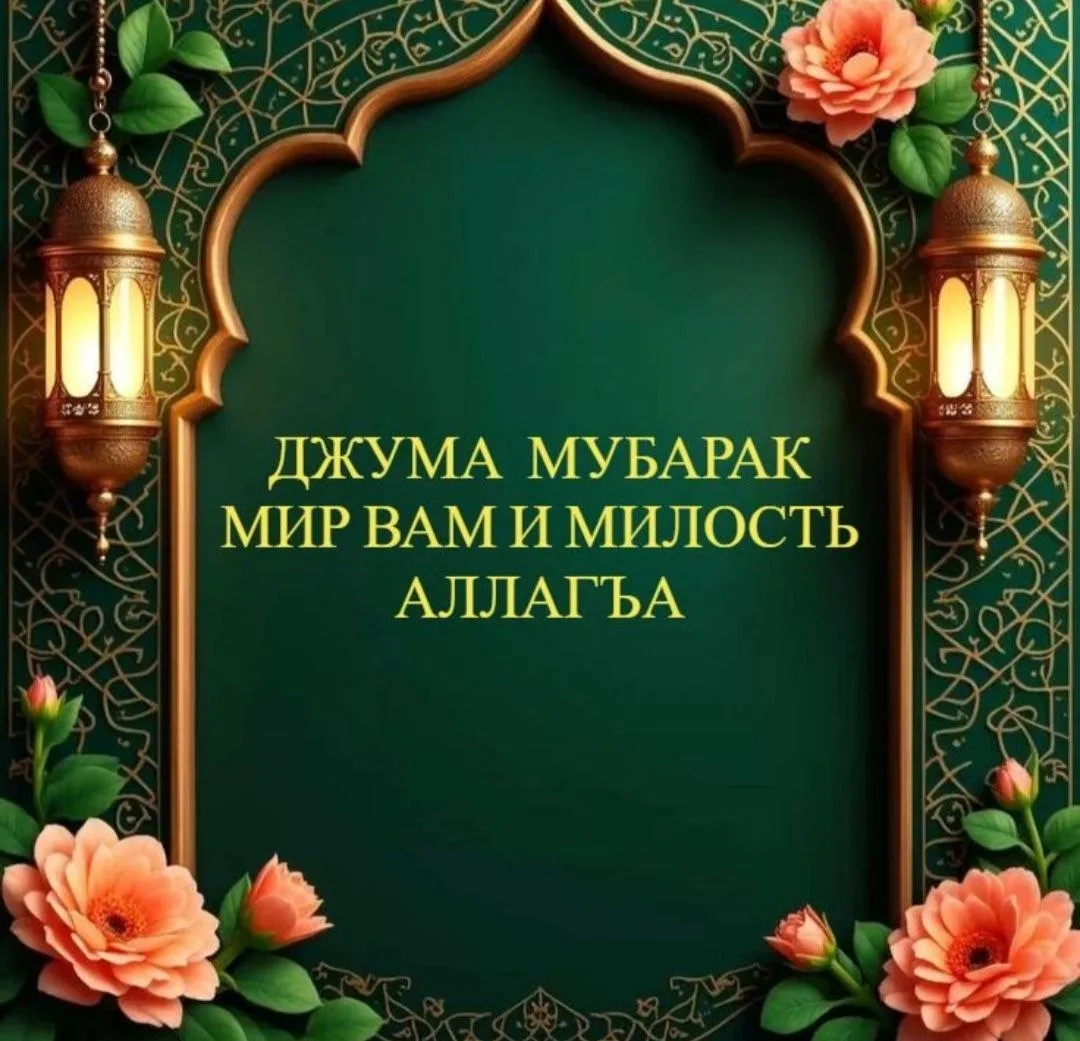 🤝Ассаламу алейкум! Добрый день!