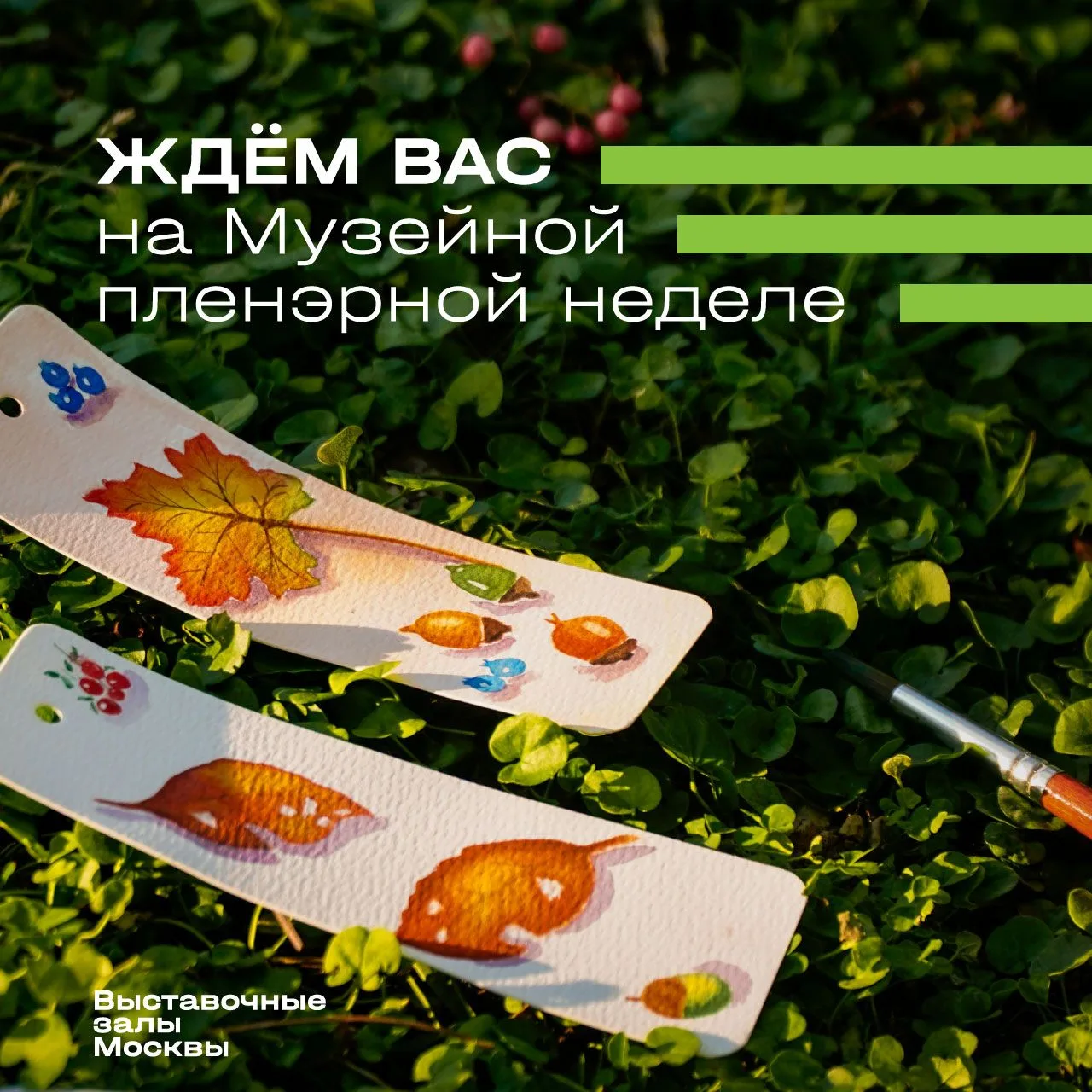 Музейная пленэрная неделя началась!