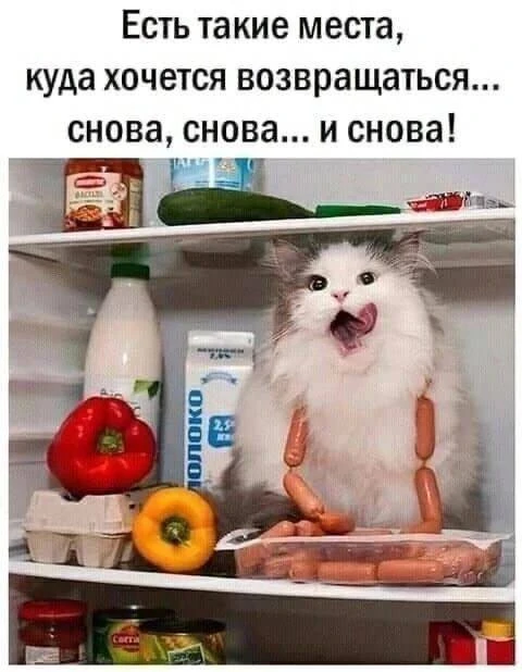 Анекдоты 😂