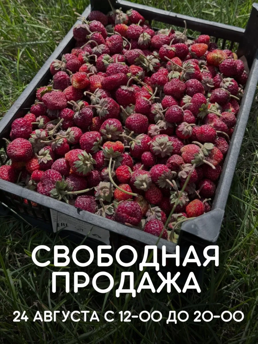 🤍 Ждём вас сегодня 24.08 на свободную продажу!