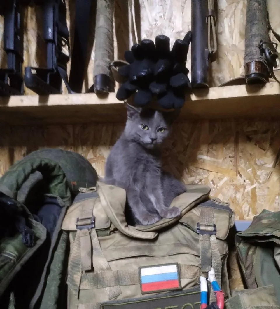 «Собрался на БЗ? Буду ждать тебя тут, и охранять твои вещи!»  Милейший пушистик нашего бойца 🇷🇺🙏🏻   