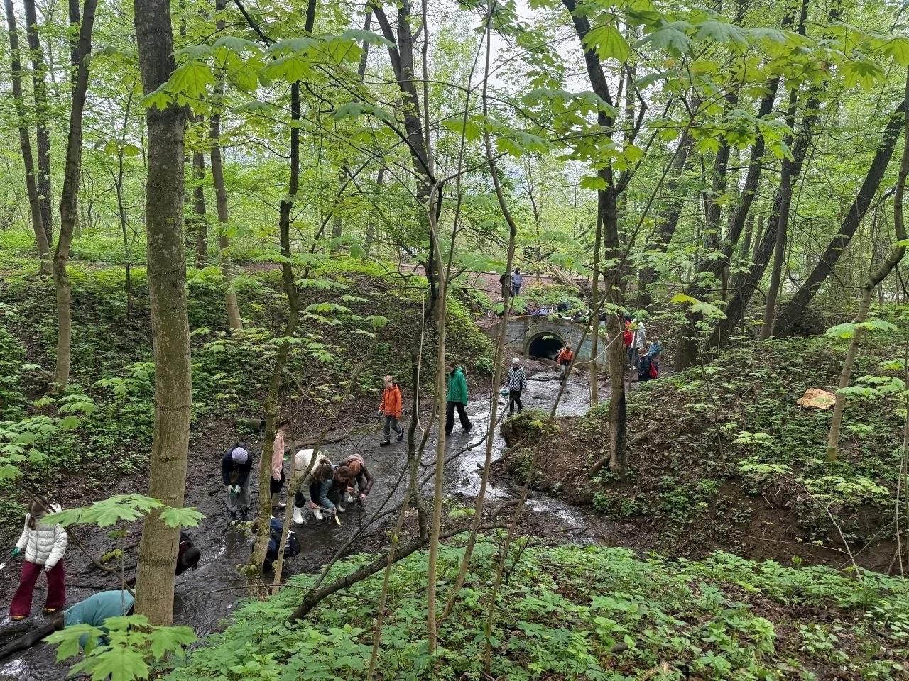 5 «П» и 6 «П» в поисках сокровищ на дне оврага    🗺️ Ученики П-классов отправились в увлекательное п