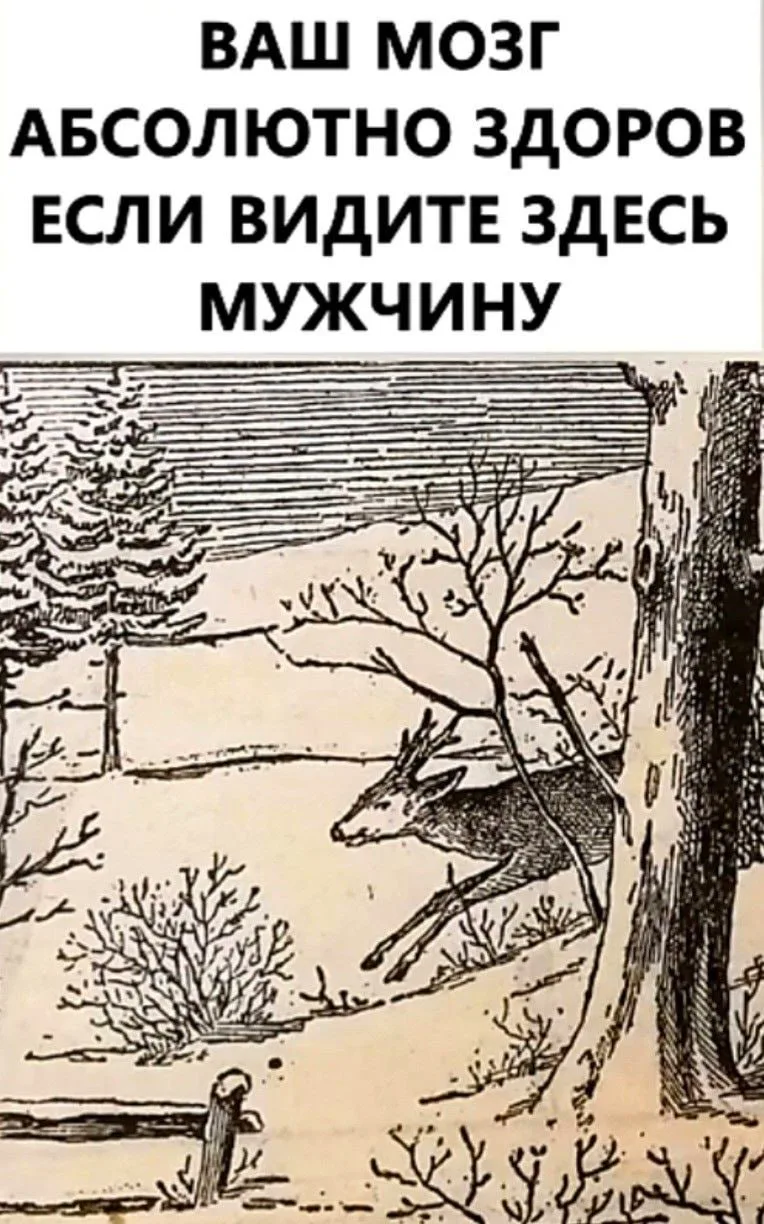 #Головоломка_для_глаз  Внимательность