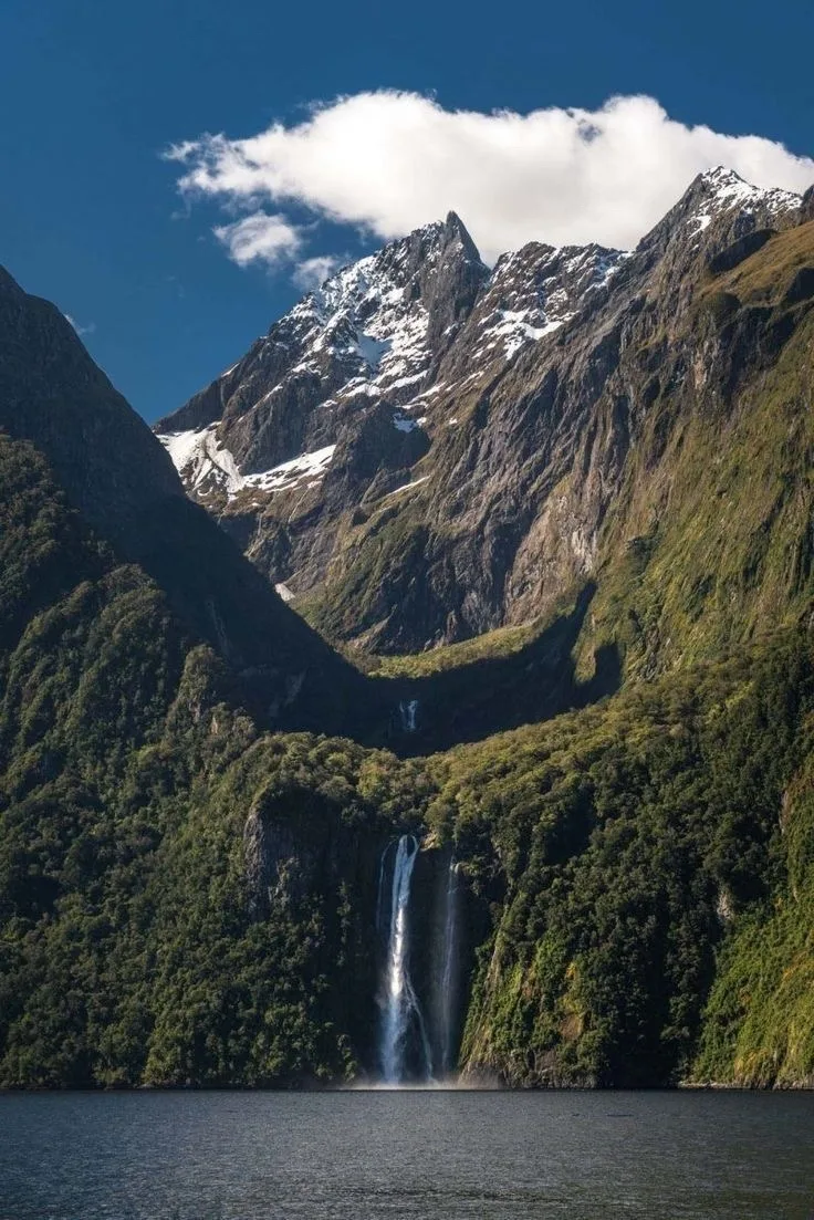 Новая Зеландия 🇳🇿