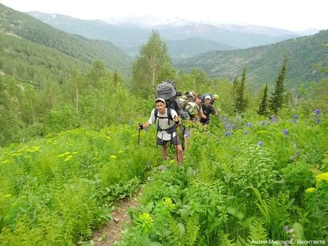 В Кузбассе спустя 11 лет нашли потерянный в тайге фотоаппарат с целыми снимками.