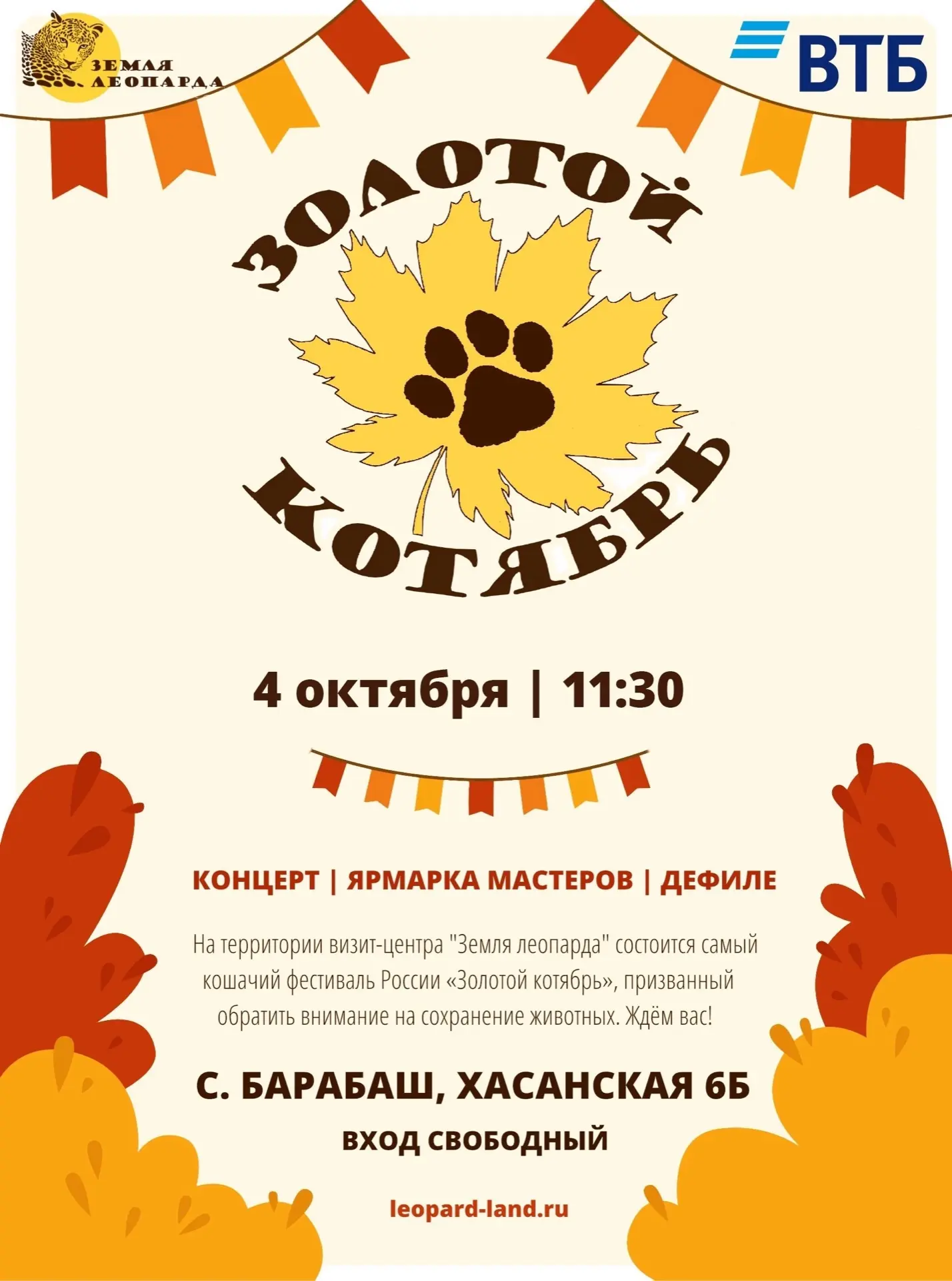 Самый «кошачий» день приморской осени возвращается 🐾