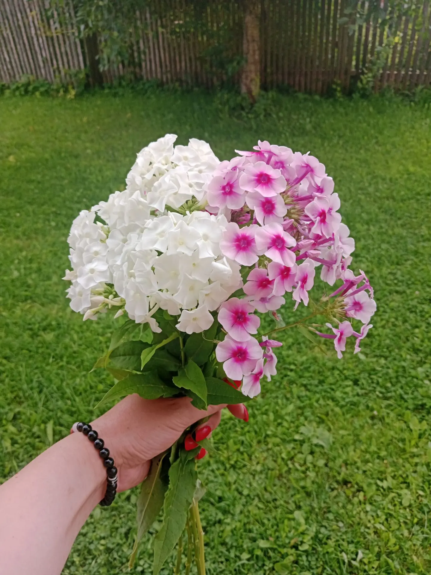 Жизнь человеческая должна быть украшена. Обязательно. Цветы и всё прочее, отрадное для ...