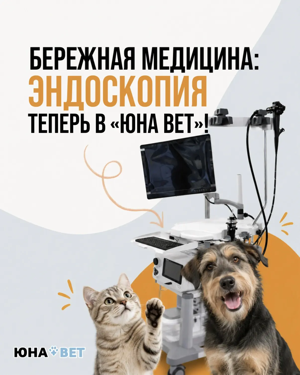 Мы стали еще бережнее к вашим любимцам! ❤️
