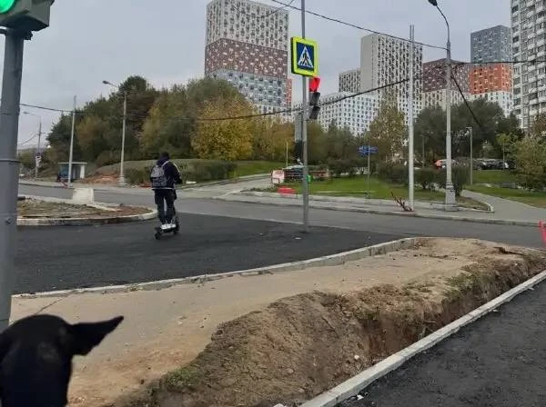 🚦 В Митино светофор установили прямо в зоне разворота