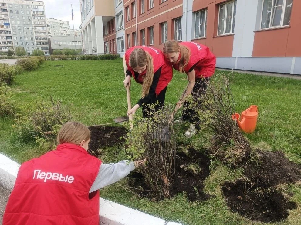 🌿 «Сад Памяти» в школе №110: живые ростки благодарности 🌳Ученики 5-х классов присоединились к всерос