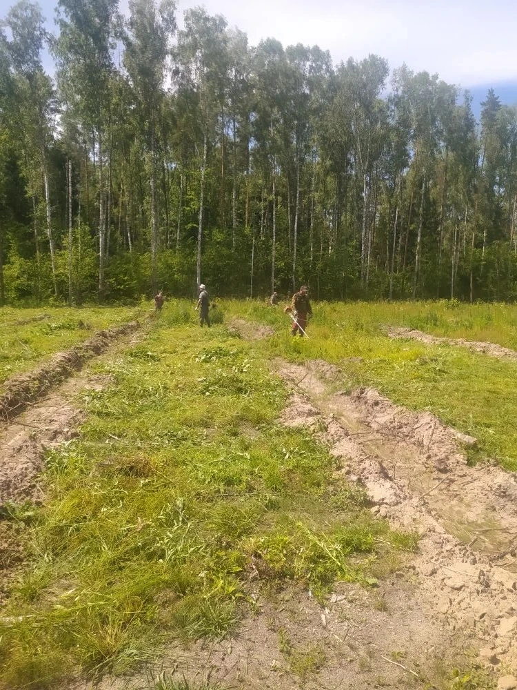 🌿 Агротехнический уход за лесными культурами: забота о будущем леса! 🌿 
 
Специалисты СГАУ «Лесопо