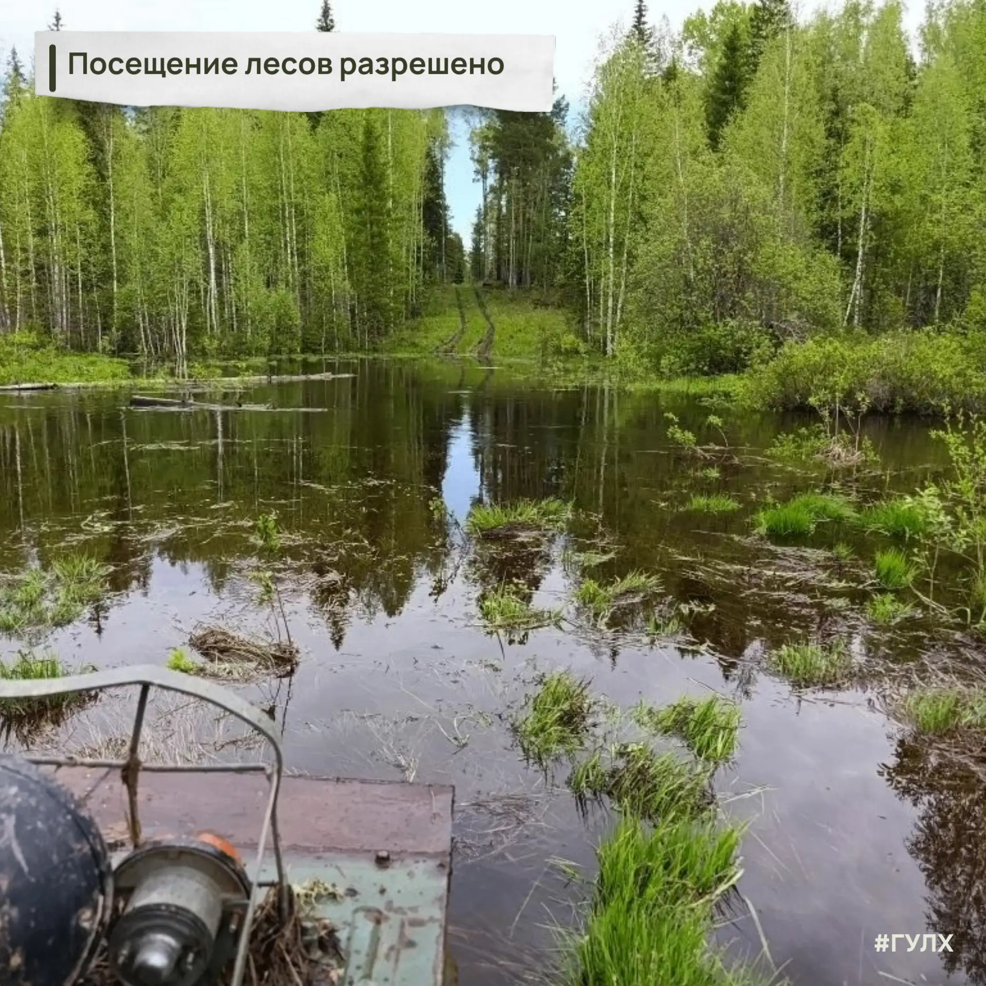 Ограничения, связанные с #ОПР, окончательно сняты. Это означает, что теперь разрешено посещать леса 