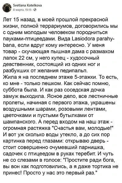 Истории, которые не придумать 😆