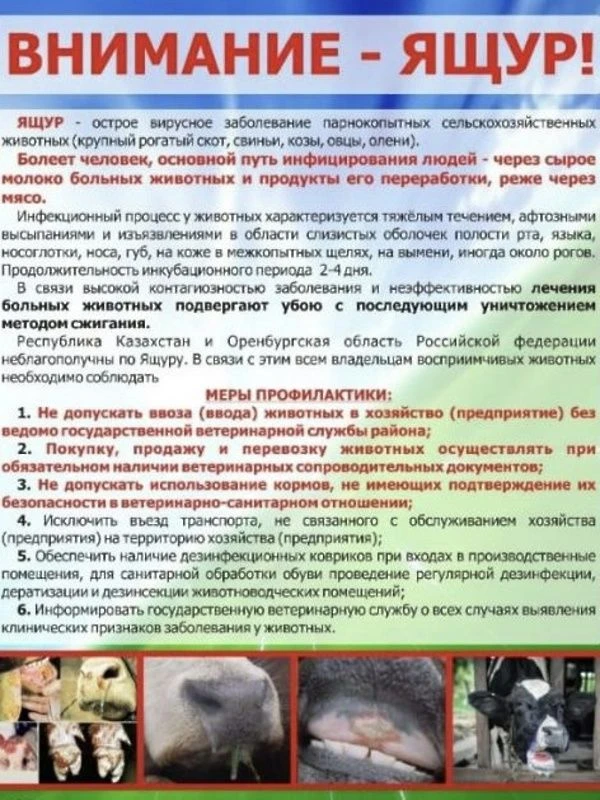 Памятка для населения по Ящуру!