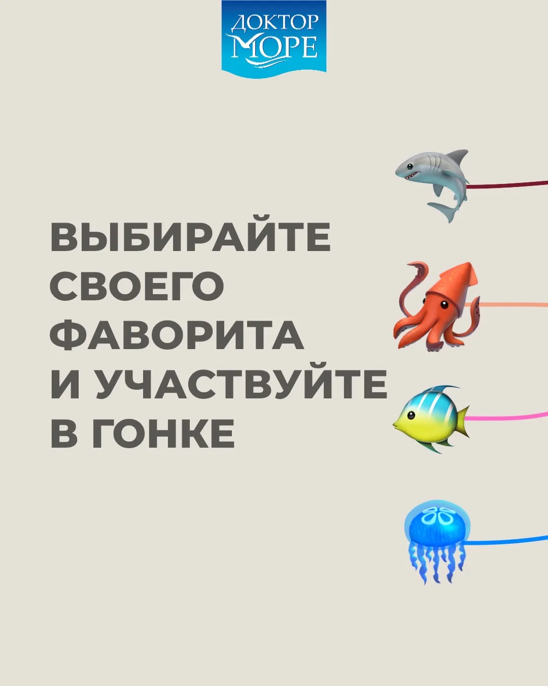 Выбираем фаворита и участвуем в ленивой гонке 🦑🪼🦈🐠