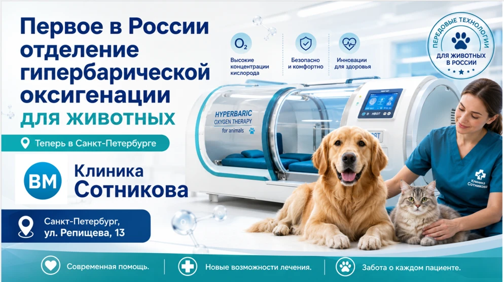 Гипербарическая оксигенация — кислородная терапия нового уровня для животных