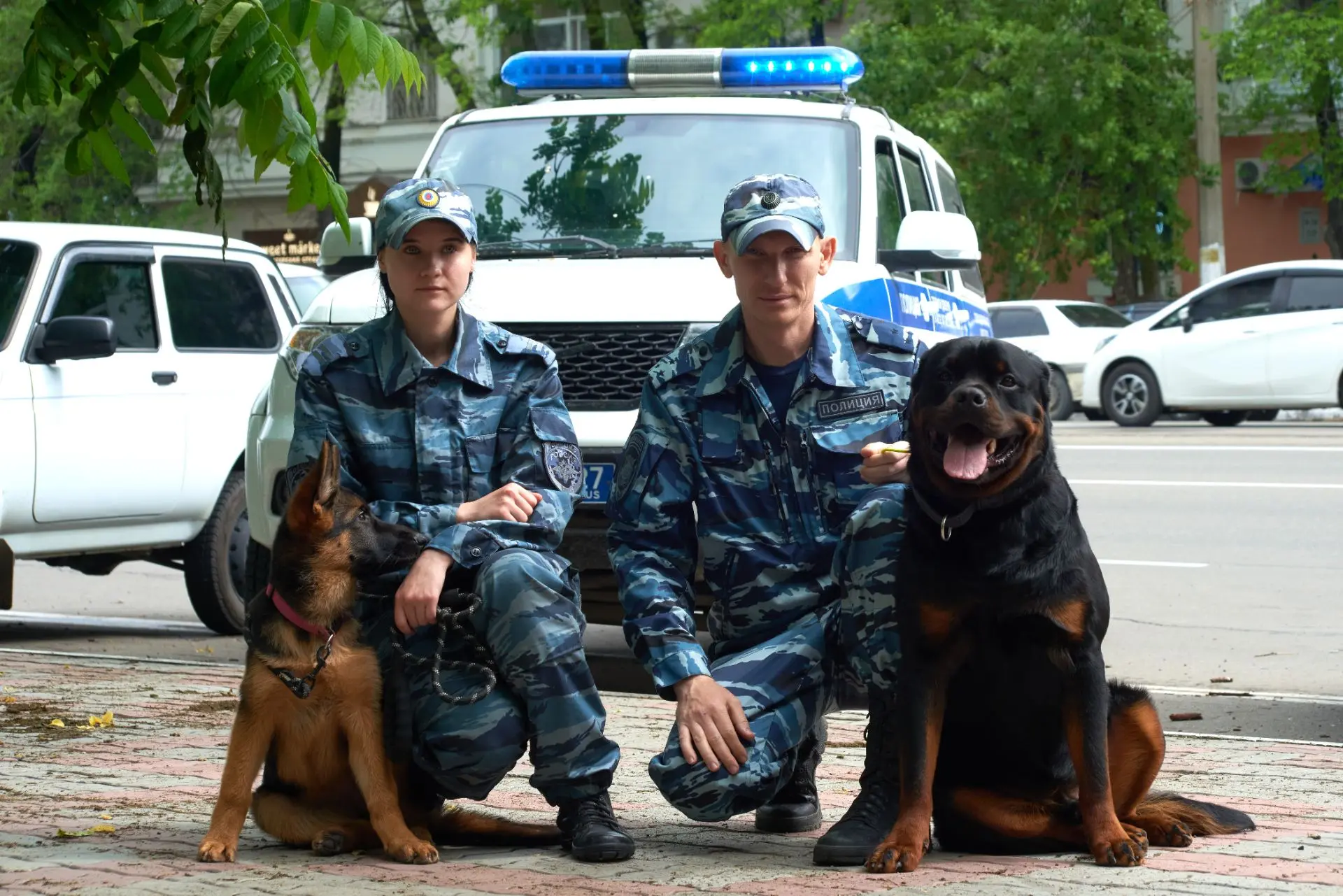 Преемственность поколений в службе комсомольских кинологов: опыт и энергия будущего