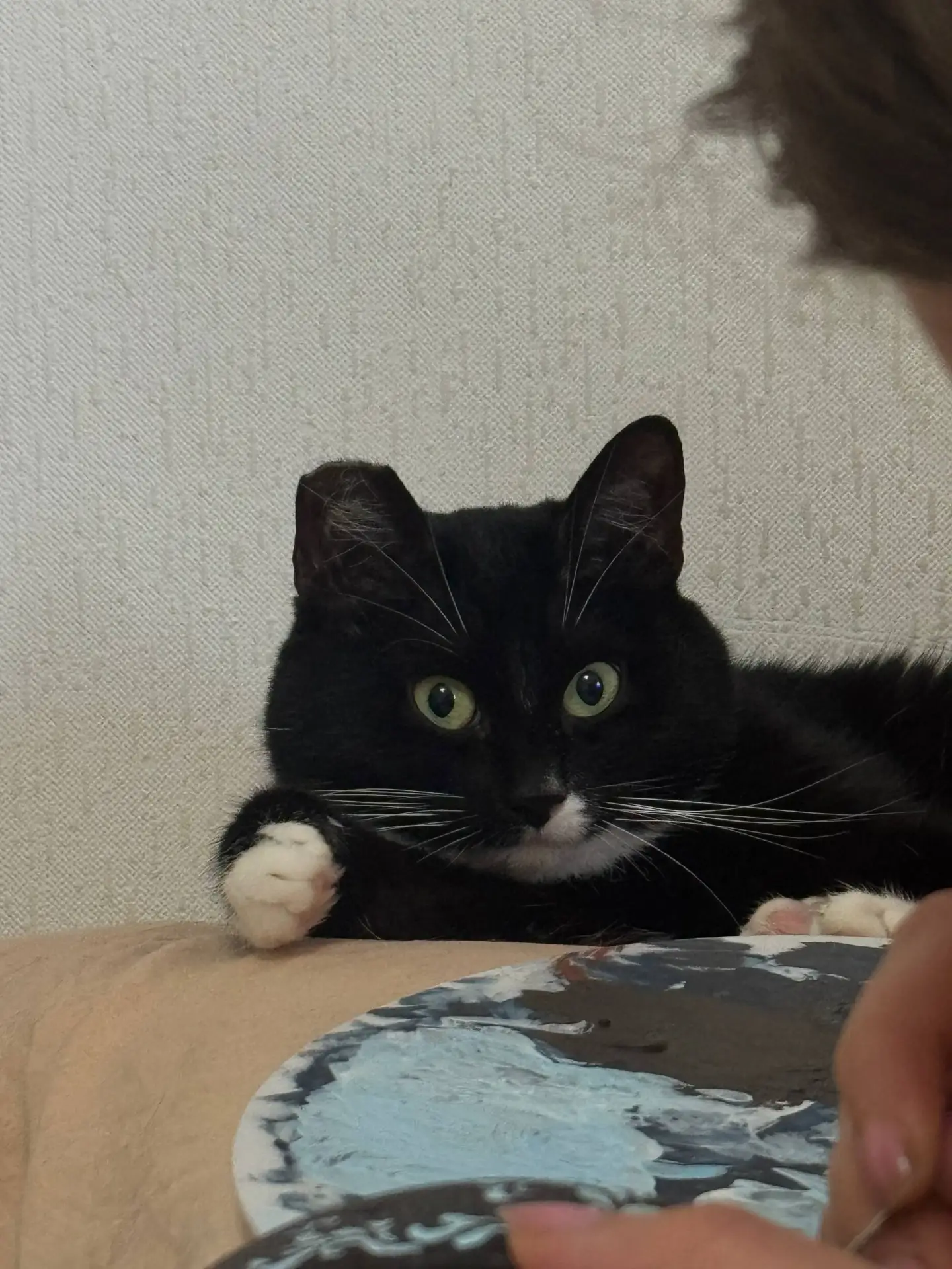 #из_нового_дома