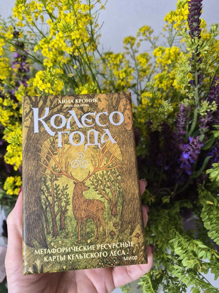 Привет, мои энергичные (или те, кто ищет энергию)! 👋