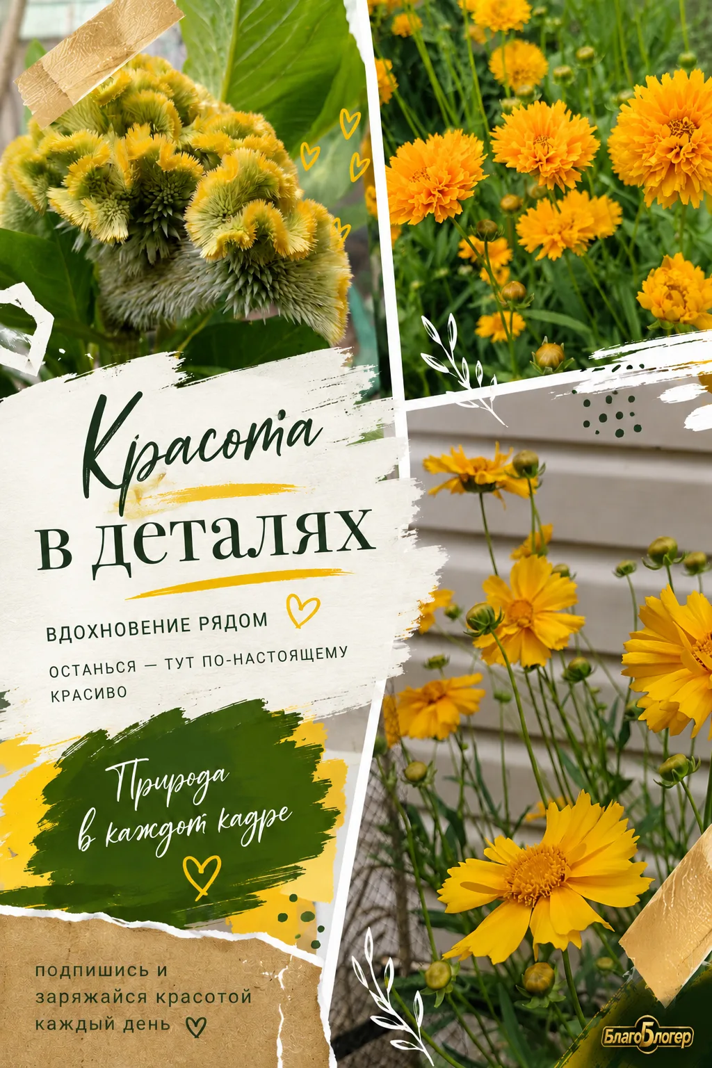 🌿 Красота — в обычных вещах.

Мы так часто ищем что-то особенное, что перестаём замечать чудеса вок