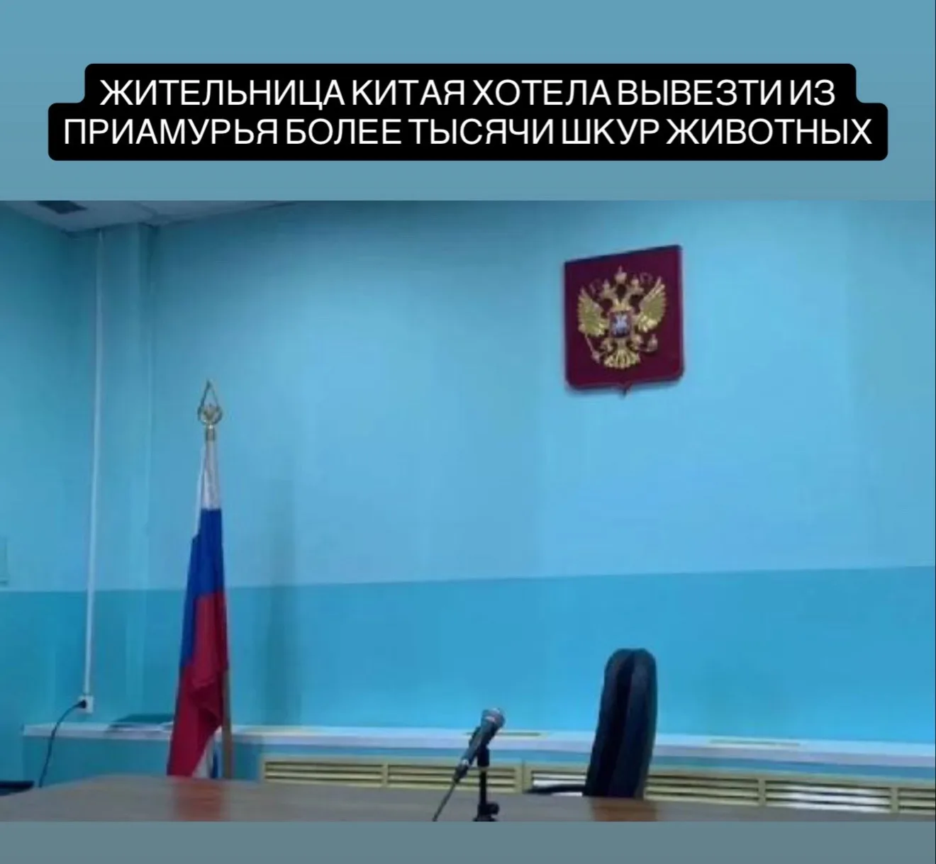 Амурский областной суд смягчил наказание гражданке Китая, пытавшейся вывезти через Благовещенск боле