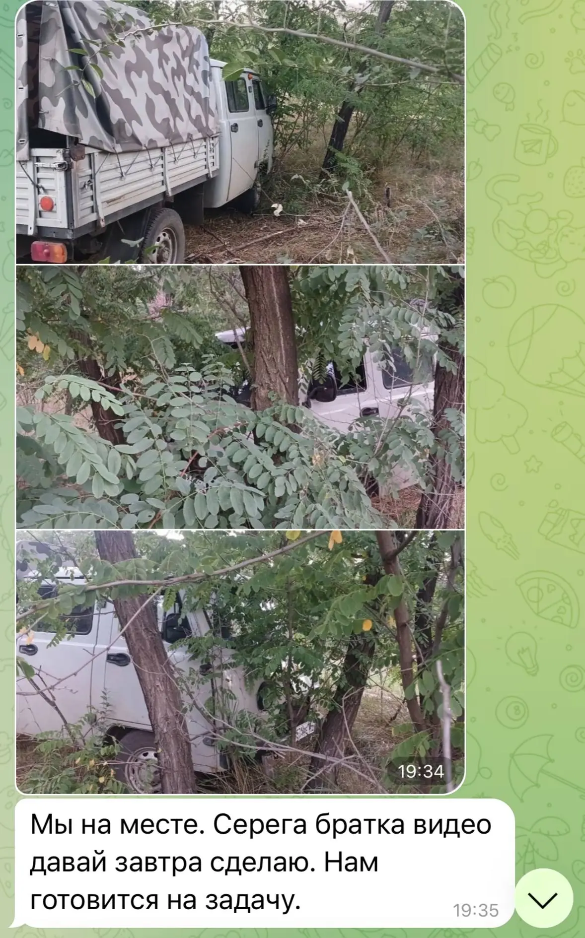 🟢Вчерашние парни с видео на месте на новой для них лошади. Леха везет к Сане купленный...