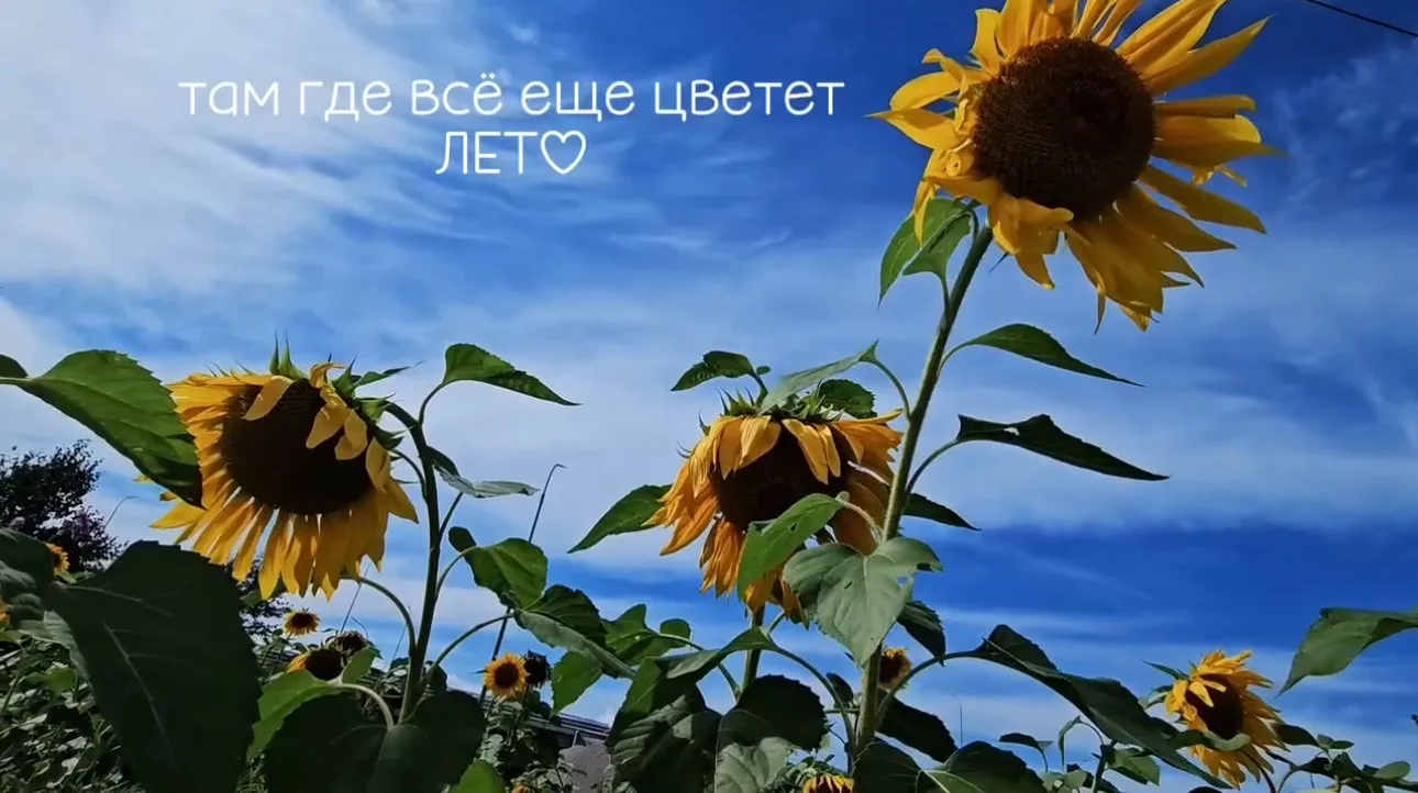 Самое солнечное место Приморья найденo! 🌻