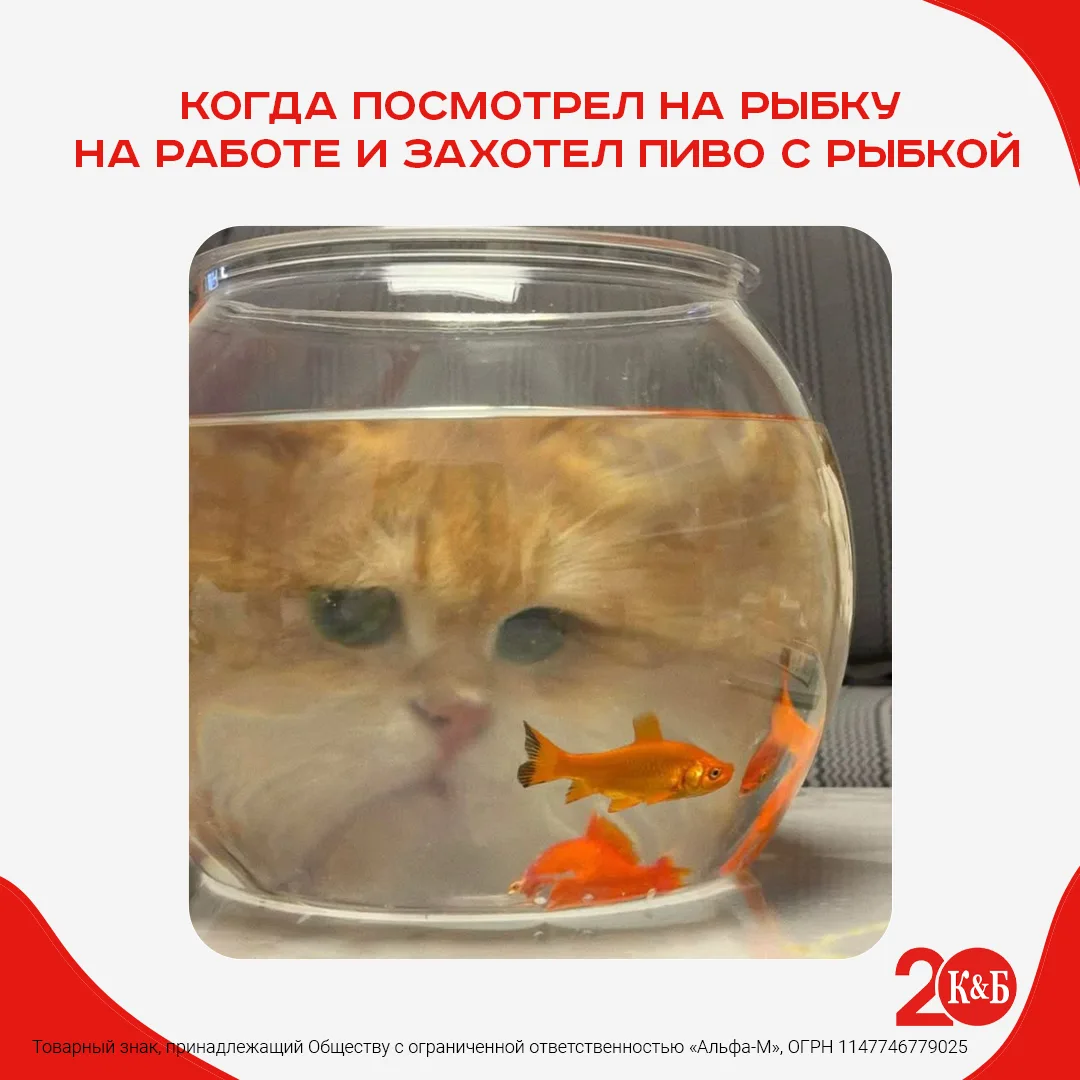 После работы ждём в КБ 😍