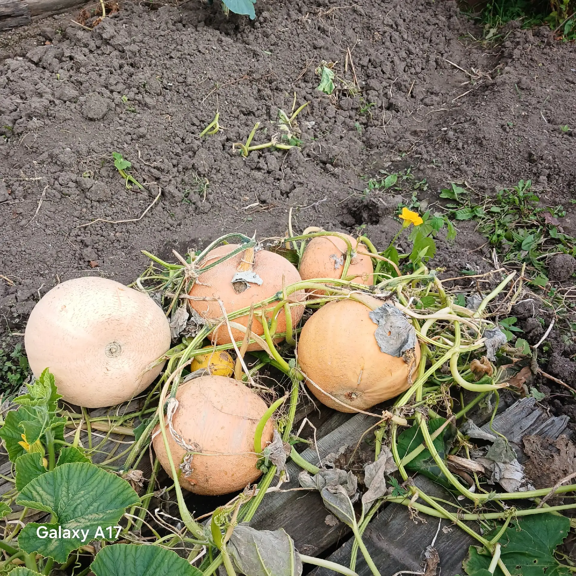 Продам, телефон 89128003535