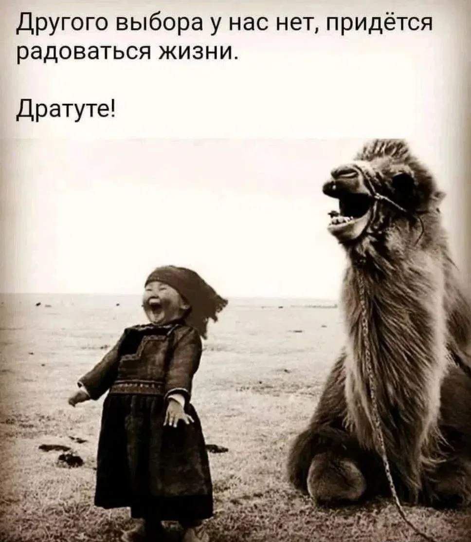 Сегодня был насыщенный день. Ранний подъем, приготовление тысячи блюд. У моих родителей...