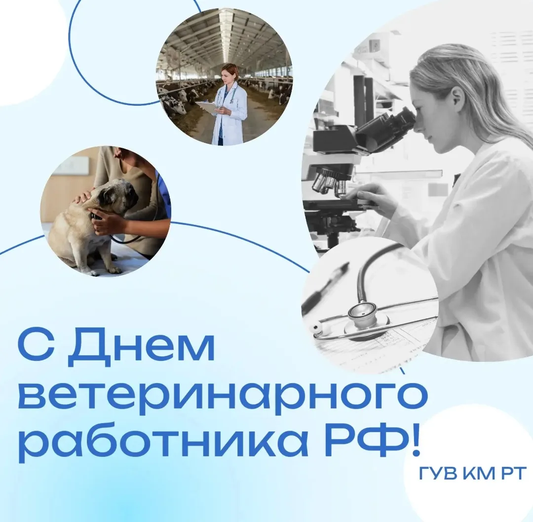 📅 31 августа — День ветеринарного работника.